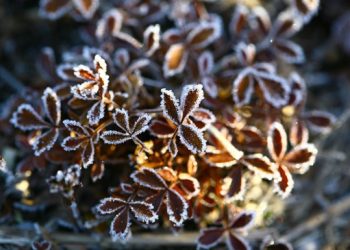 Такого не було 40 років: Львів встановив температурний рекорд