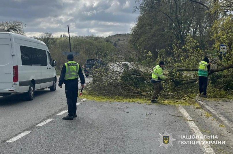 Поліцейські та комунальники працюють на місці, де впало дерево