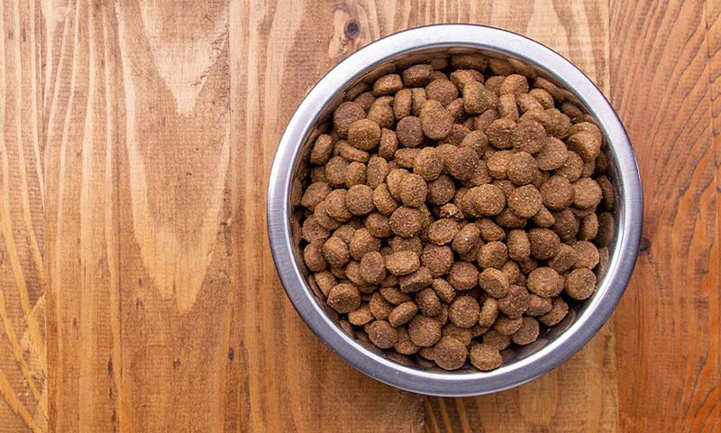 Корм для собак
