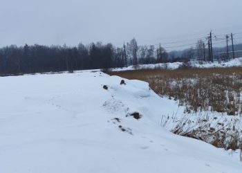 Львівська міськрада виставить землю на аукціон за 24 млн грн