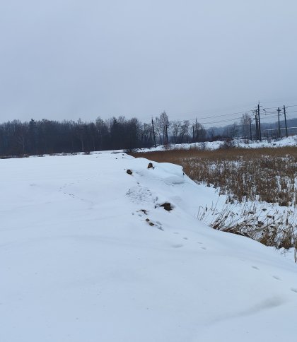 Львівська міськрада виставить землю на аукціон за 24 млн грн