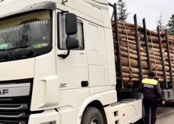 На понад 200 тис. грн оштрафували перевізників на Львівщині за перевантаження фур — Львівщіна