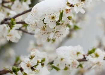 Різке похолодання на Львівщині: якою буде погода на Великдень — Львівщіна