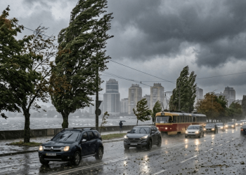 Шквальний вітер у Дніпрі: як захистити авто під час негоди | АВТО НОВИНИ |