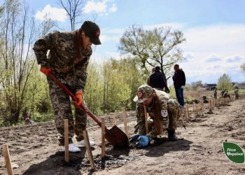 Сіянці з насіння дубів Шевченка висадили на Черкащині — Новости Черкасс