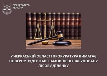 У Черкаській області прокуратура вимагає повернути державі самовільно забудовану лісову ділянку — Новости Черкасс