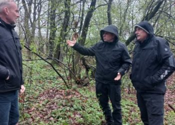 У Дрогобицькому районі шукають поховання воїнів УПА — Львівщіна