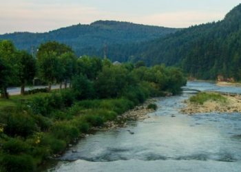 За махінації із земельними ділянками на Сколівщині судитимуть держєрестратора — Львівщіна