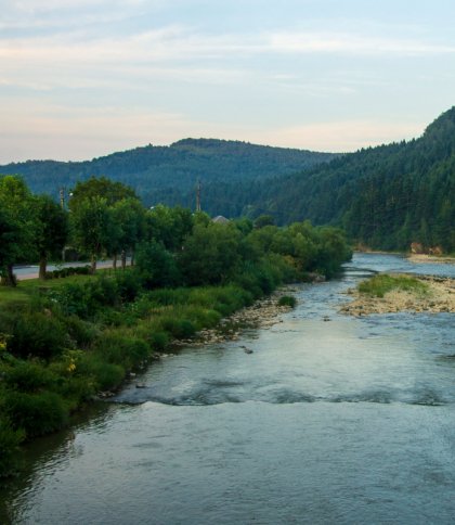 За махінації із земельними ділянками на Сколівщині судитимуть держєрестратора
