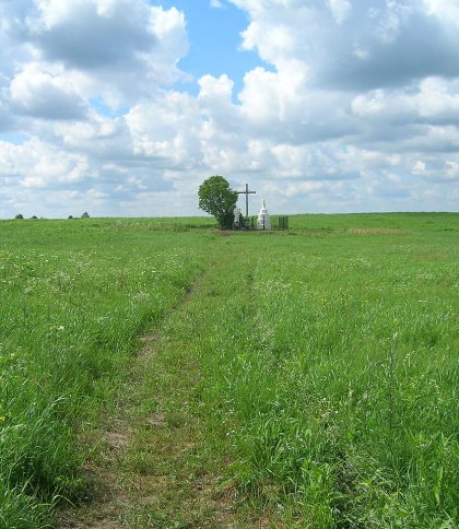 За участі львівських фахівців на Волині досліджують місця спалених у 1943 році сіл