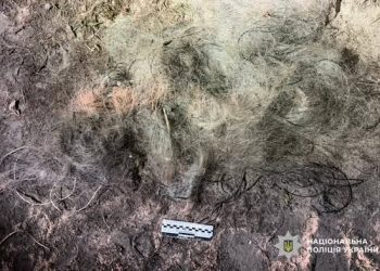 Збитки майже на 36 тисяч гривень: на Золотоніщині виявили чоловіка, який рибалив сітками  — Новости Черкасс