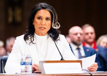 Тулсі Габбард йде з посади глави Нацрозвідки США через хворобу чоловіка
