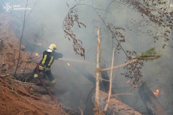 Масштабну пожежу в Карпатах допомагають гасити 36 львівських рятувальників – 01