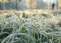 На Львівщині прогнозують похолодання та заморозки — Львівщіна