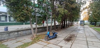 Зрізані дерева на проспекті Чорновола. Фото ГО 